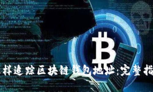 怎样追踪区块链钱包地址:完整指南