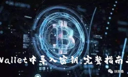 如何在TPWallet中导入密钥:完整指南与步骤详解