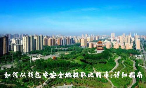 如何从钱包中安全地提取比特币:详细指南