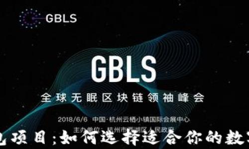 区块链数字钱包项目:如何选择适合你的数字资产存储方案