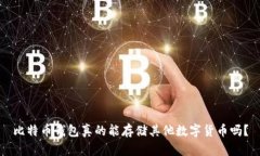 比特币钱包真的能存储其