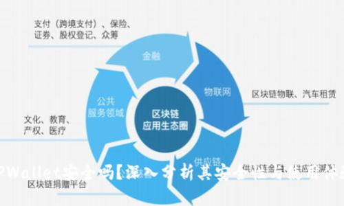 TPWallet安全吗？深入分析其安全性与使用体验