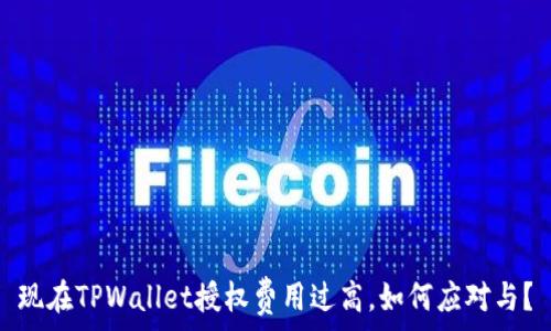 现在TPWallet授权费用过高,如何应对与?