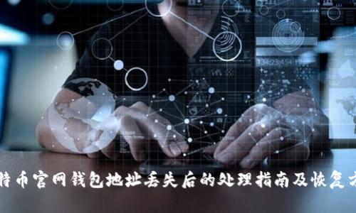 比特币官网钱包地址丢失后的处理指南及恢复方法