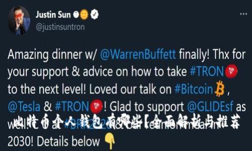 比特币个人钱包有哪些?全面解析与推荐