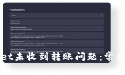 如何解决TPWallet未收到转账问题:常见原因及解决方案