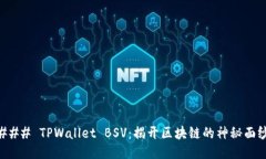 ### TPWallet BSV：揭开区块链