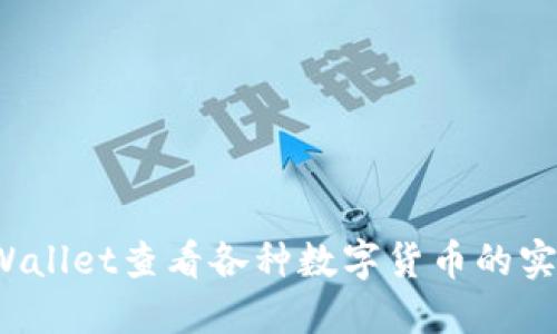 如何使用TPWallet查看各种数字货币的实时行情和信息
