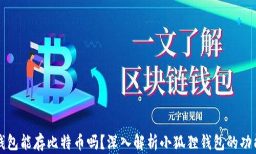 小狐狸钱包能存比特币吗?深入解析小狐狸钱包的功能与使用