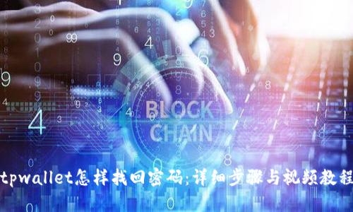 tpwallet怎样找回密码：详细步骤与视频教程