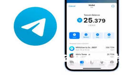比特币钱包中文版全面解析:选择与使用指南