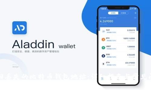 如何找回丢失的比特币钱包地址:详细指南与常见问题解答