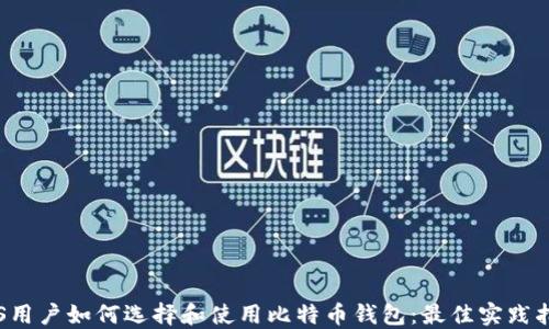 IOS用户如何选择和使用比特币钱包:最佳实践指南