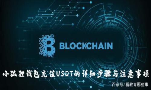 小狐狸钱包充值USDT的详细步骤与注意事项