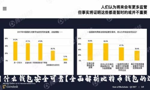 :
baioti比特币用什么钱包安全可靠?全面解析比特币钱包的选择与使用指南