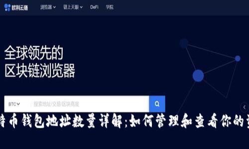 比特币钱包地址数量详解:如何管理和查看你的资产