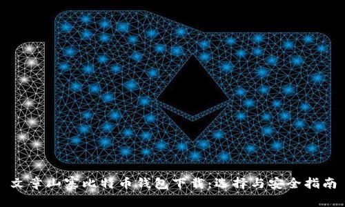文章山寨比特币钱包下载:选择与安全指南