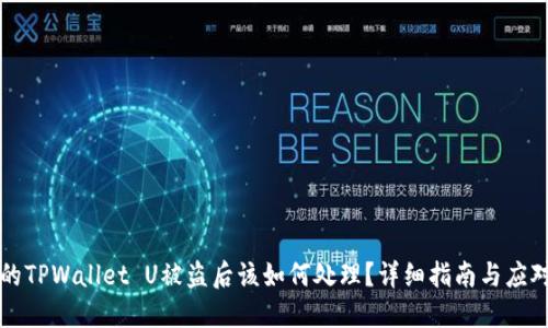 当您的TPWallet U被盗后该如何处理?详细指南与应对措施