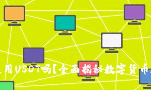 : 谷歌钱包能使用USDT吗？全面揭秘数字货币在支付中的应用