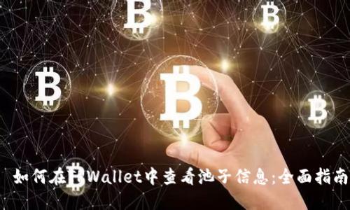 如何在TPWallet中查看池子信息:全面指南