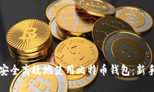如何安全高效地使用比特币钱包:新手指南