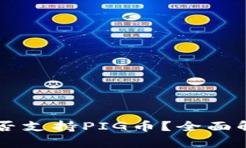 : TPWallet是否支持PIG币?全面解析与用户指南