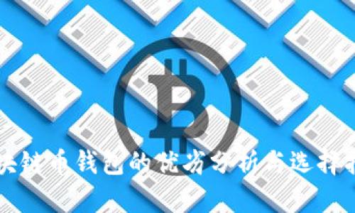 区块链币钱包的优劣分析与选择指南