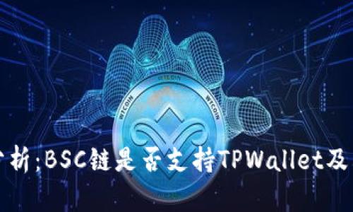 深入分析：BSC链是否支持TPWallet及其优势