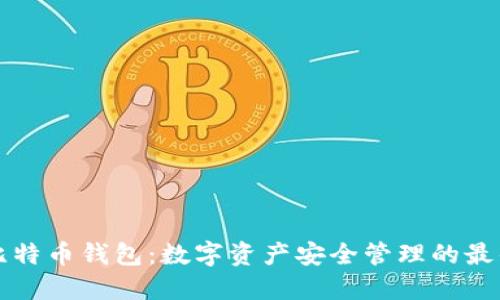 聚币比特币钱包:数字资产安全管理的最佳选择