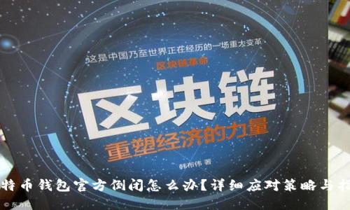 比特币钱包官方倒闭怎么办?详细应对策略与指南