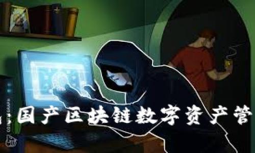 TP官方钱包:国产区块链数字资产管理工具解析