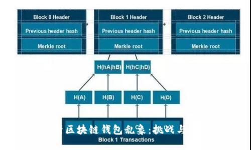 深度分析区块链钱包乱象:挑战与应对策略