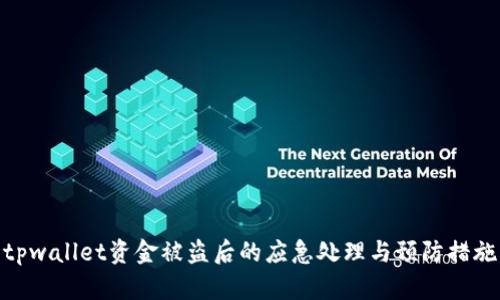 tpwallet资金被盗后的应急处理与预防措施