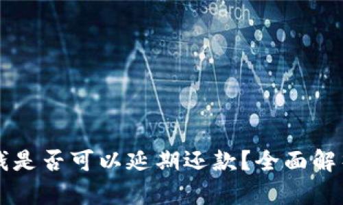 华为钱包借钱是否可以延期还款?全面解析与使用指南