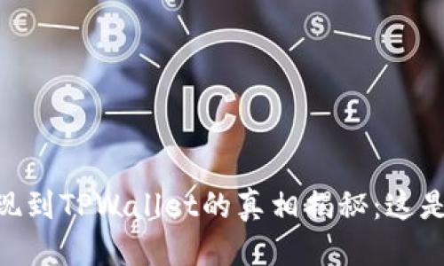 思考
USDT提现到TPWallet的真相揭秘:这是骗局吗?