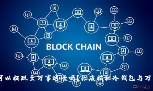 冷钱包USDT可以提现至万事达卡吗?彻底揭秘冷钱包与万事达卡的链接