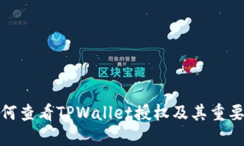 如何查看TPWallet授权及其重要性