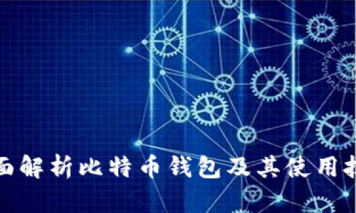 全面解析比特币钱包及其使用技巧