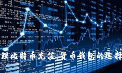 如何高效管理比特币充值:货币钱包的选择与使用技巧