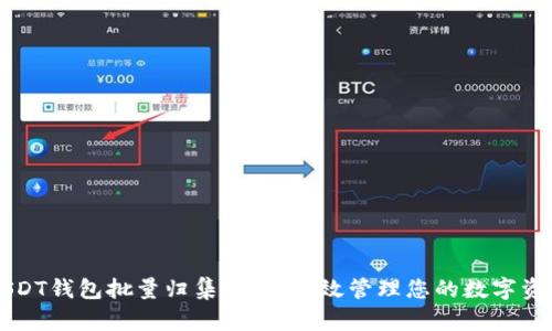 USDT钱包批量归集：如何高效管理您的数字资产