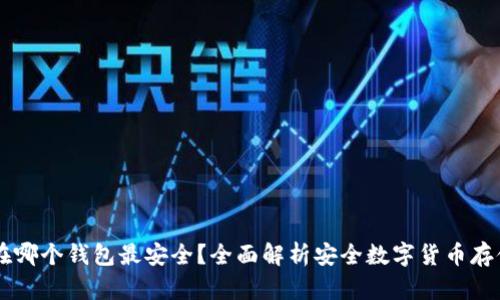 币存在哪个钱包最安全?全面解析安全数字货币存储方式