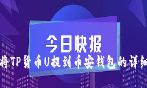 如何将TP货币U提到币安钱包的详细指南