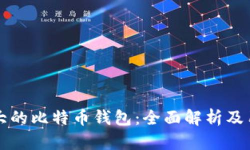全球最大的比特币钱包：全面解析及用户指南
