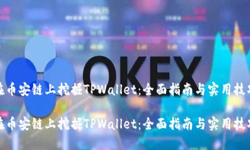 在币安链上挖掘TPWallet：全面指南与实用技巧

在币安链上挖掘TPWallet：全面指南与实用技巧