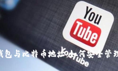 全面解析BTC钱包与比特币地址:如何安全管理你的数字资产