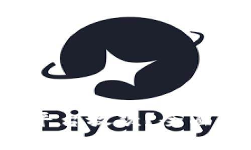  壹钱包是什么平台放款？全面解析及用户指南