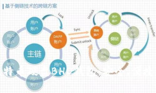 全面解析比特币硬盘BHD钱包：安全、便捷和投资价值