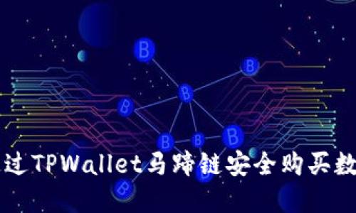 如何通过TPWallet马蹄链安全购买数字货币
