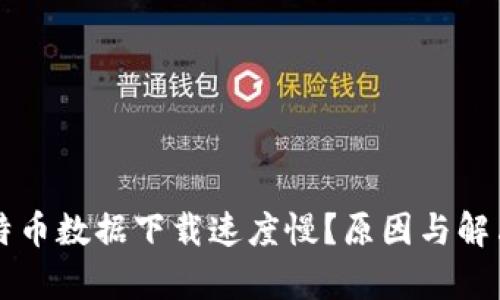 为什么比特币数据下载速度慢？原因与解决方案分析